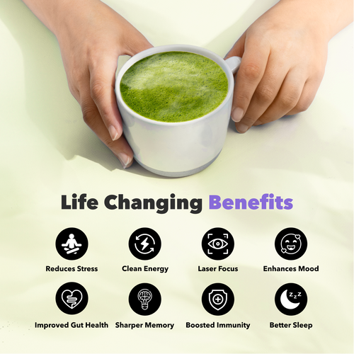 30 Servings Matcha+
